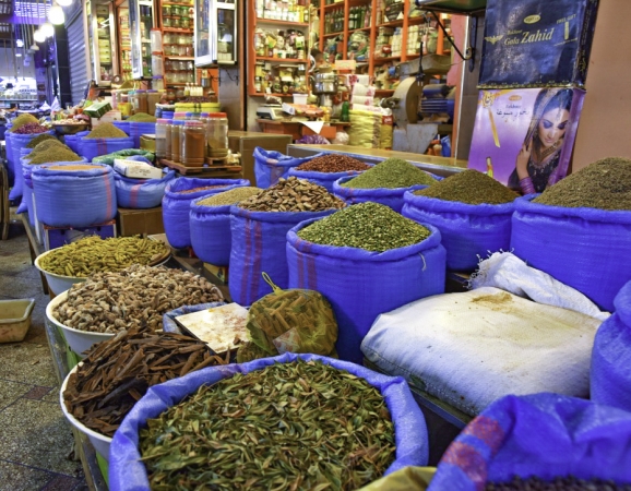 Meknes, the "Versailles" of Morocco