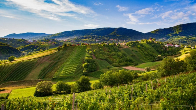Green and sustainable Fijet Croatia and county tourist office Zagreb have celebrated world tourism day