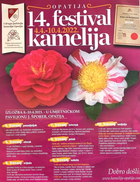 Lady of Camellias
